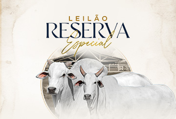LEILÃO RESERVA ESPECIAL JAPARANDUBA GANAR - MATRIZES